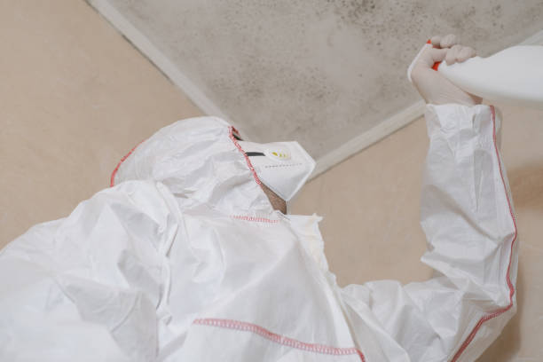 Best Crawl Space Mold Removal  in Lisle, IL