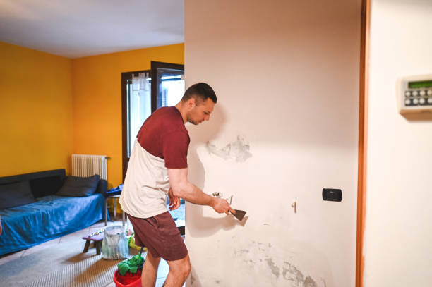 Attic Mold Removal in Lisle, IL
